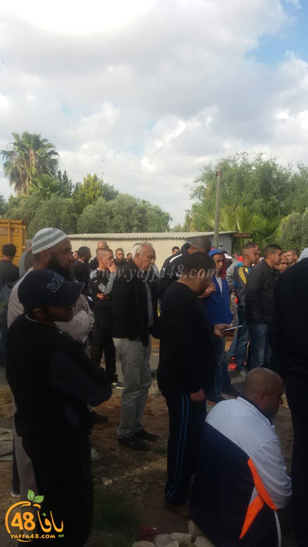 tashye3 sana3e lud (11).JPG